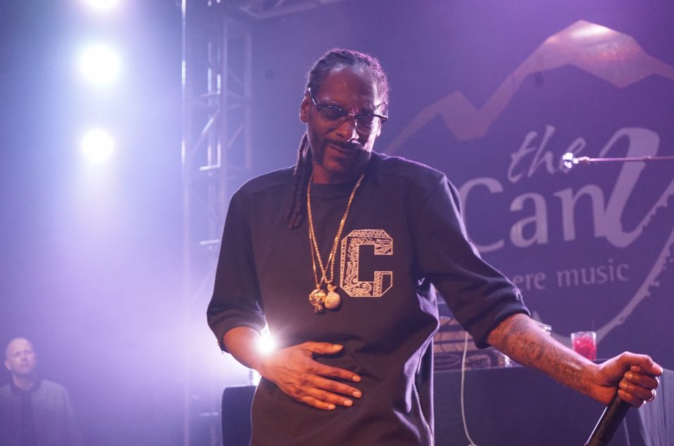 Snoop Dogg  performs as Snoopadelic